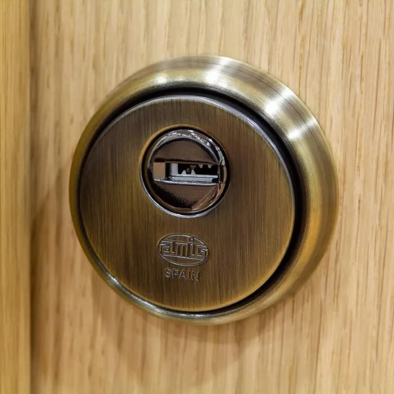 Cerradura de alta seguridad con escudo protector
